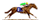 rennen.gif